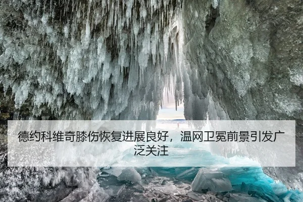 德约科维奇膝伤恢复进展良好，温网卫冕前景引发广泛关注