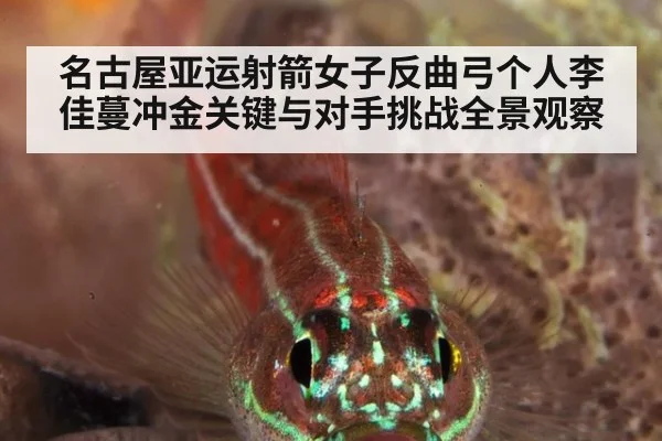 名古屋亚运射箭女子反曲弓个人李佳蔓冲金关键与对手挑战全景观察